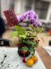 LINE_ALBUM_2025113_250114_17