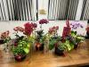 LINE_ALBUM_2025113_250114_7
